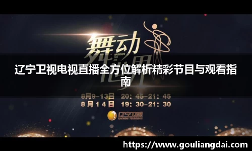 辽宁卫视电视直播全方位解析精彩节目与观看指南